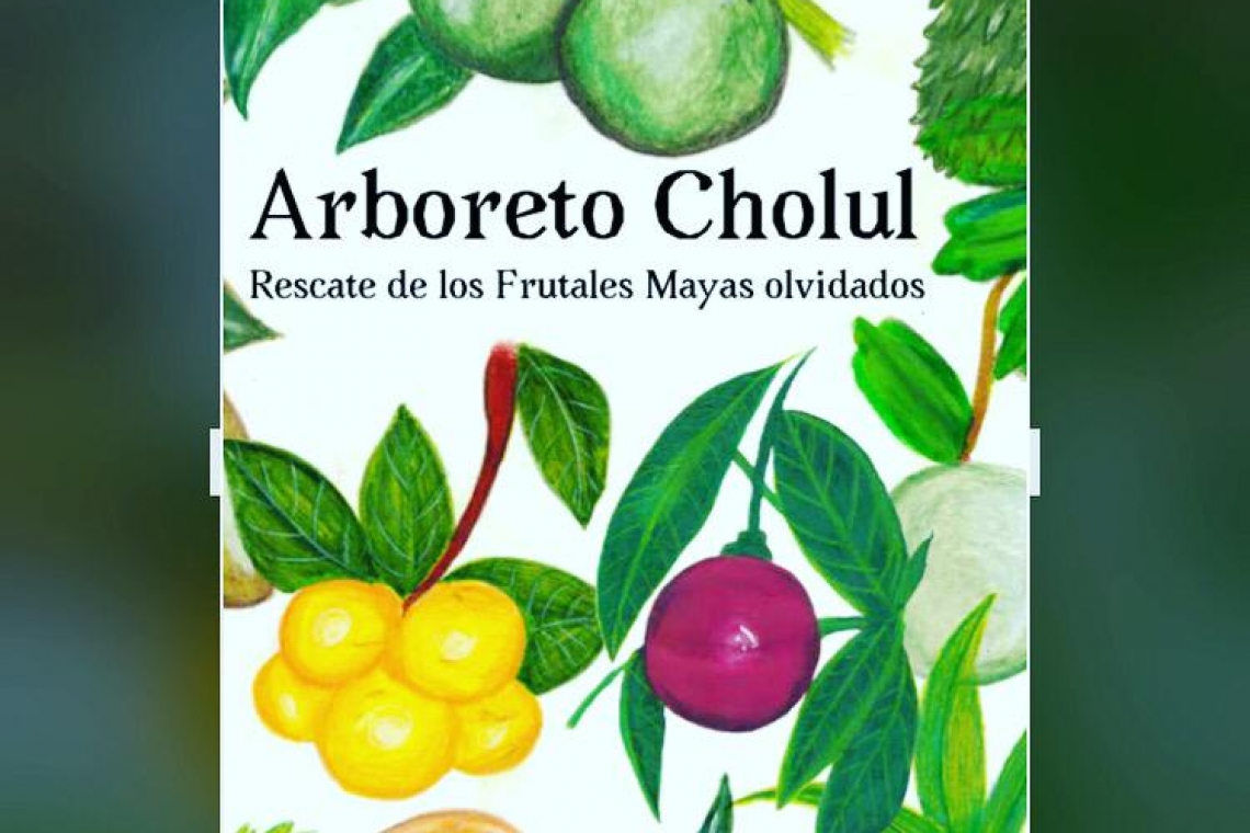 "Arboretum Cholul" registro de la flora en Yucatán.
