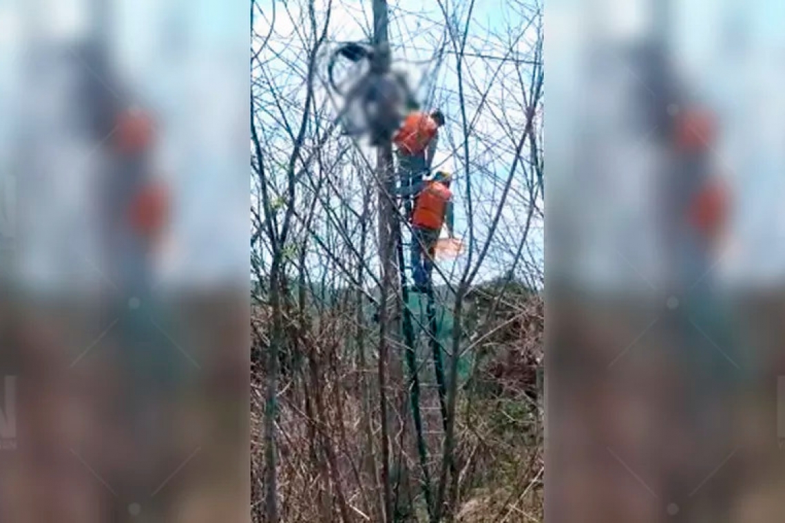  Joven cablero pereció electrocutado