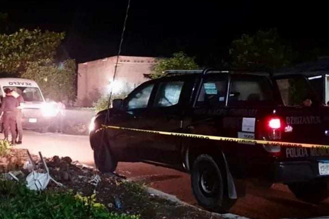  Un ebrio mató a tiros a una perrita