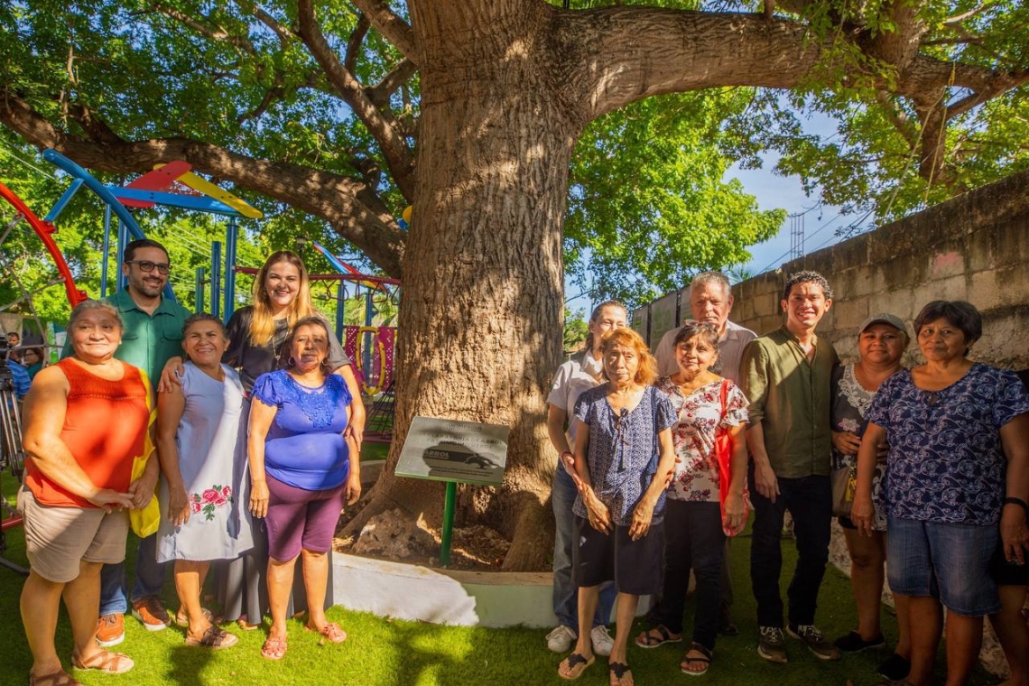 -Por una ciudad más verde y sustentable, establecen la “Declaratoria Árbol Patrimonio Verde de Mérida”.