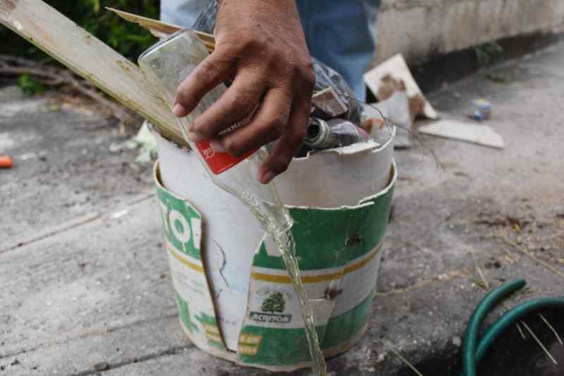 COMBATEN CRIADEROS DE MOSCOS