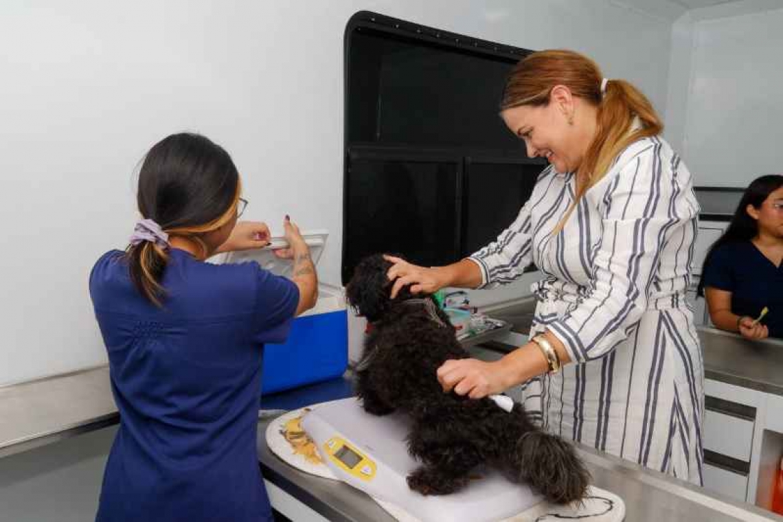 Cecilia Patrón impulsa el bienestar animal con Mega Jornada de Esterilización gratuita en Mérida.