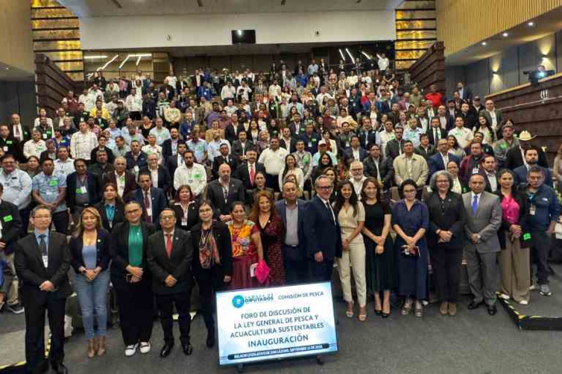 Reactivan diplomado de guías de turistas generales