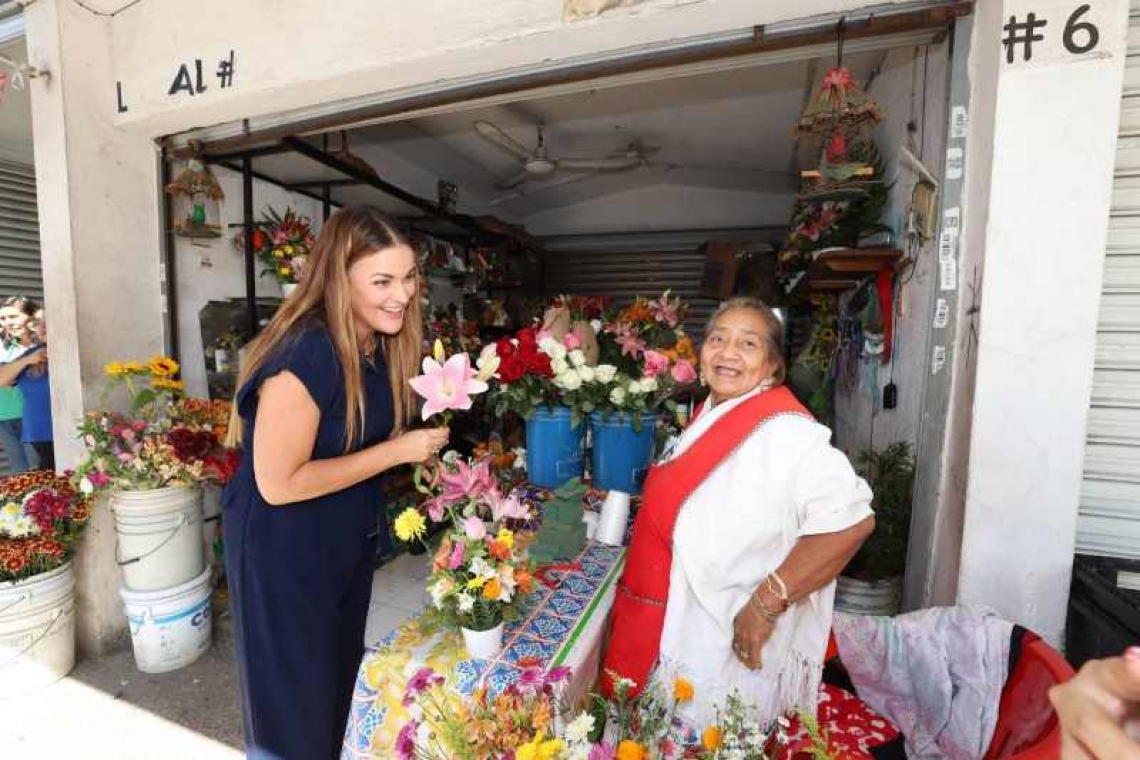 Cada vez más espacios públicos con Internet gratuito en Mérida: Cecilia Patrón.