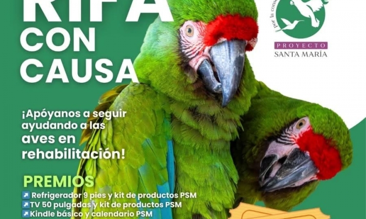 ÚLTIMA RIFA DEL AÑO EN BENEFICIO DE 200 LOROS RESCATADOS