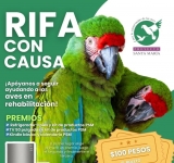 Villa Navideña 2025 en la plancha para disfrutar la magia de la temporada decembrina.