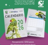 Gobierno del Estado supervisa avances del Puerto de Altura de Progreso.
