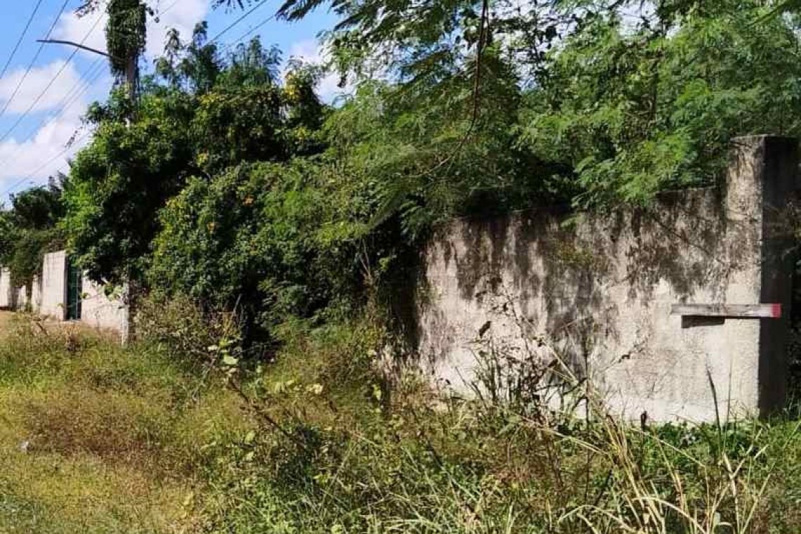   COLABORADOR DISTINGUIDO: ING. BERNARDO CAAMAL ITZÁ, EL ARUX.