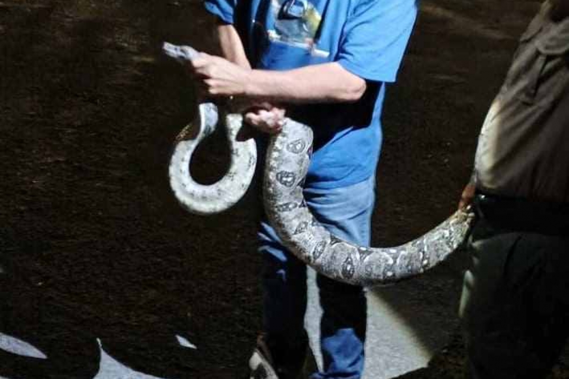 SERVICIO SOCIAL DE PROYECTO SANTA MARÍA EN VERGEL IV: CAPTURAN UNA OCH KAAN