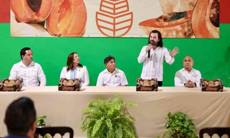   Yucatán concreta primer envío histórico de mamey al Reino Unido.