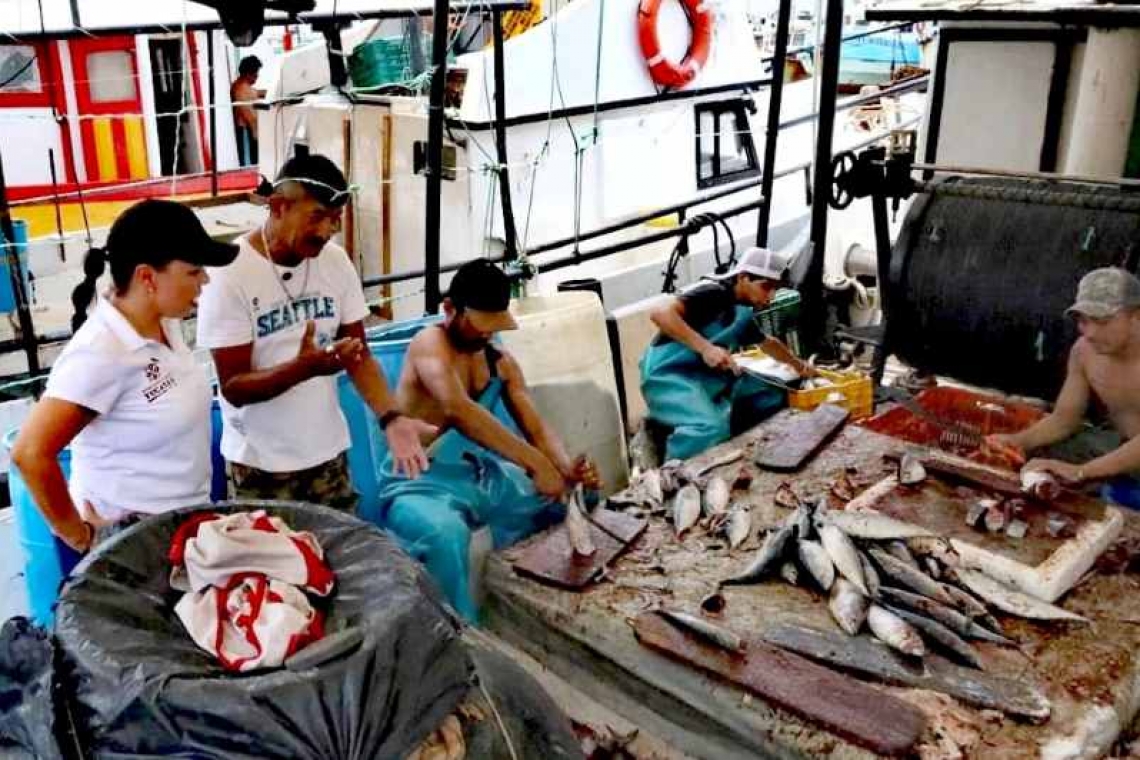 INICIA LA TEMPORADA DE CAPTURA DE MERO.