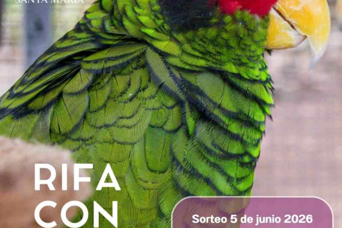 RIFA CON CAUSA PARA LA REHABILITACIÓN DE LOROS.