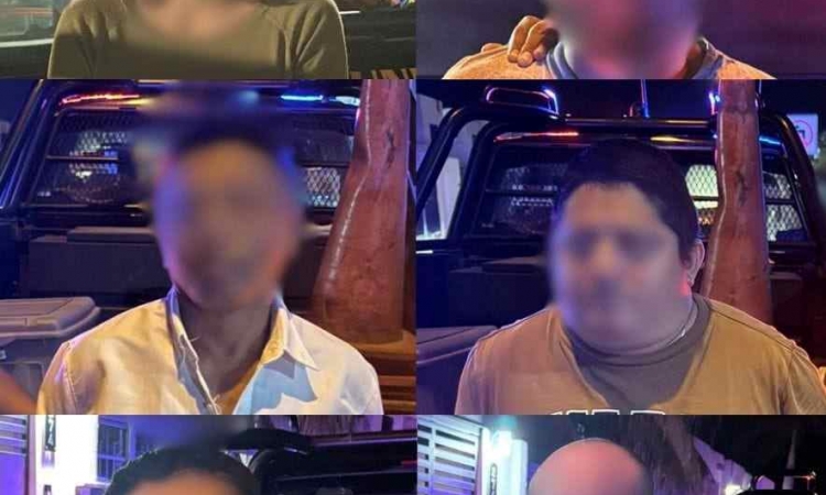 DETENIDAS SEIS PERSONAS POR SU PROBABLE PARTICIPACIÓN EN UN DESPOJO EN LAS AMÉRICAS