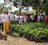IMPULSAN ESTRATEGIA DE REFORESTACION EN ESCUELAS DE YUCATAN.