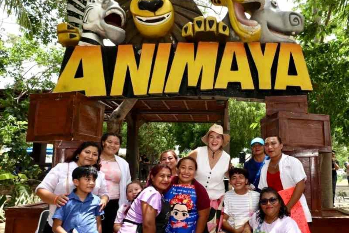 ANIMAYA;16 AÑOS DE SERVIR A LOS MERIDANOS.