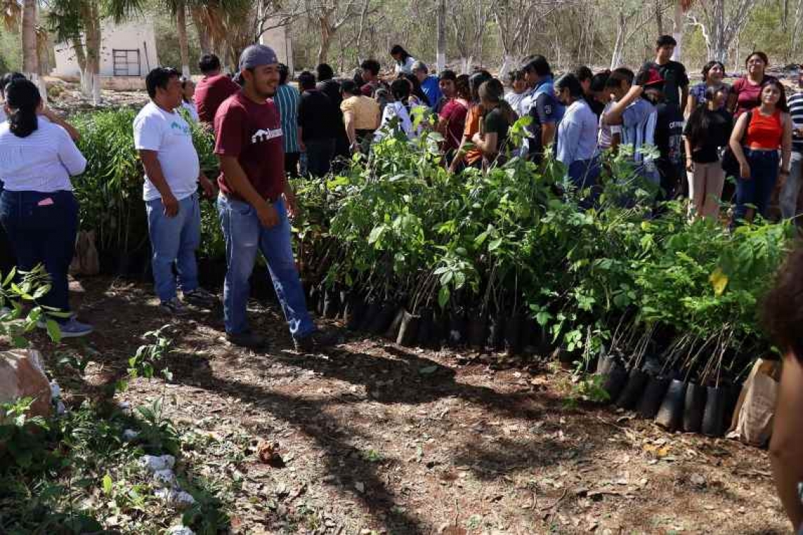 REVERDECE LA UTP CON EL PROGRAMA "RENACIMIENTO VERDE EN TU ESCUELA"