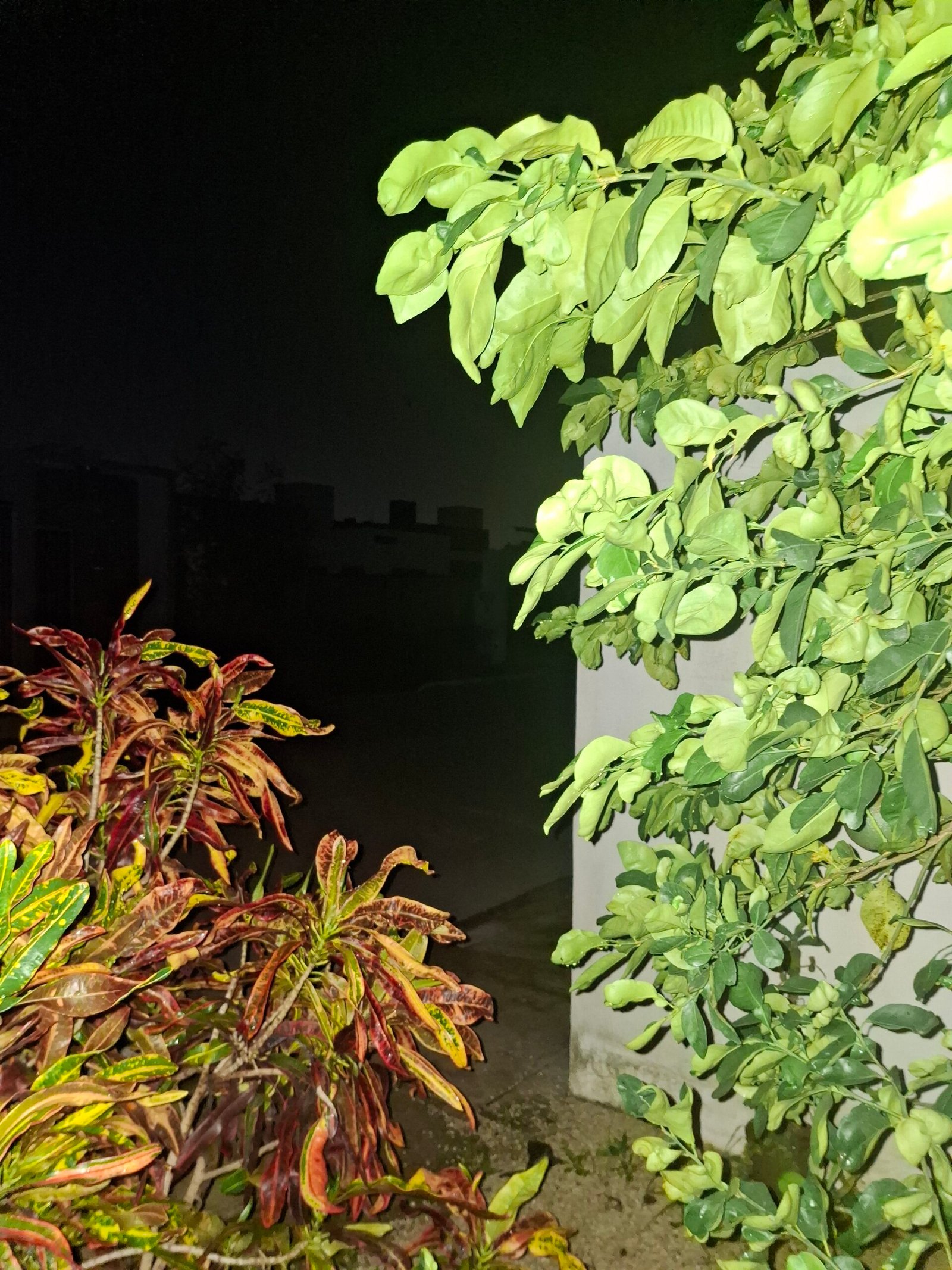 CFE atiende 33 colonias con apagones en Mérida; los más largos, de 30 horas
