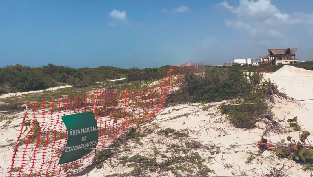 Erosión costera ya come terreno en Chuburná, Sisal y Telchac antes del pleito por Las Dunas