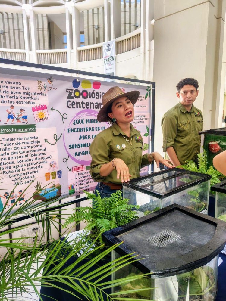 Festival de Insectos abre una noche de ciencia en el Olimpo