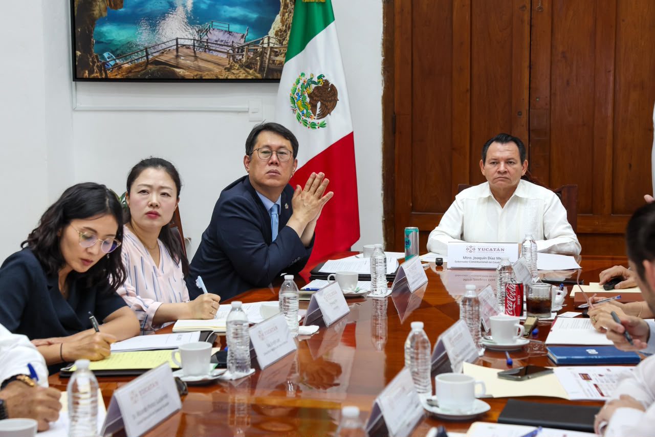 Hallan arsénico en el sargazo de las costas de Yucatán, alerta Cinvestav