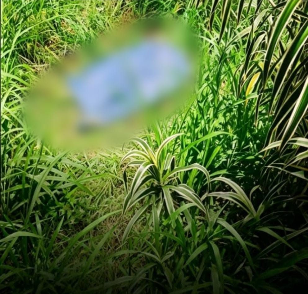Investigan muerte de adulto mayor atacado con machete en Peto