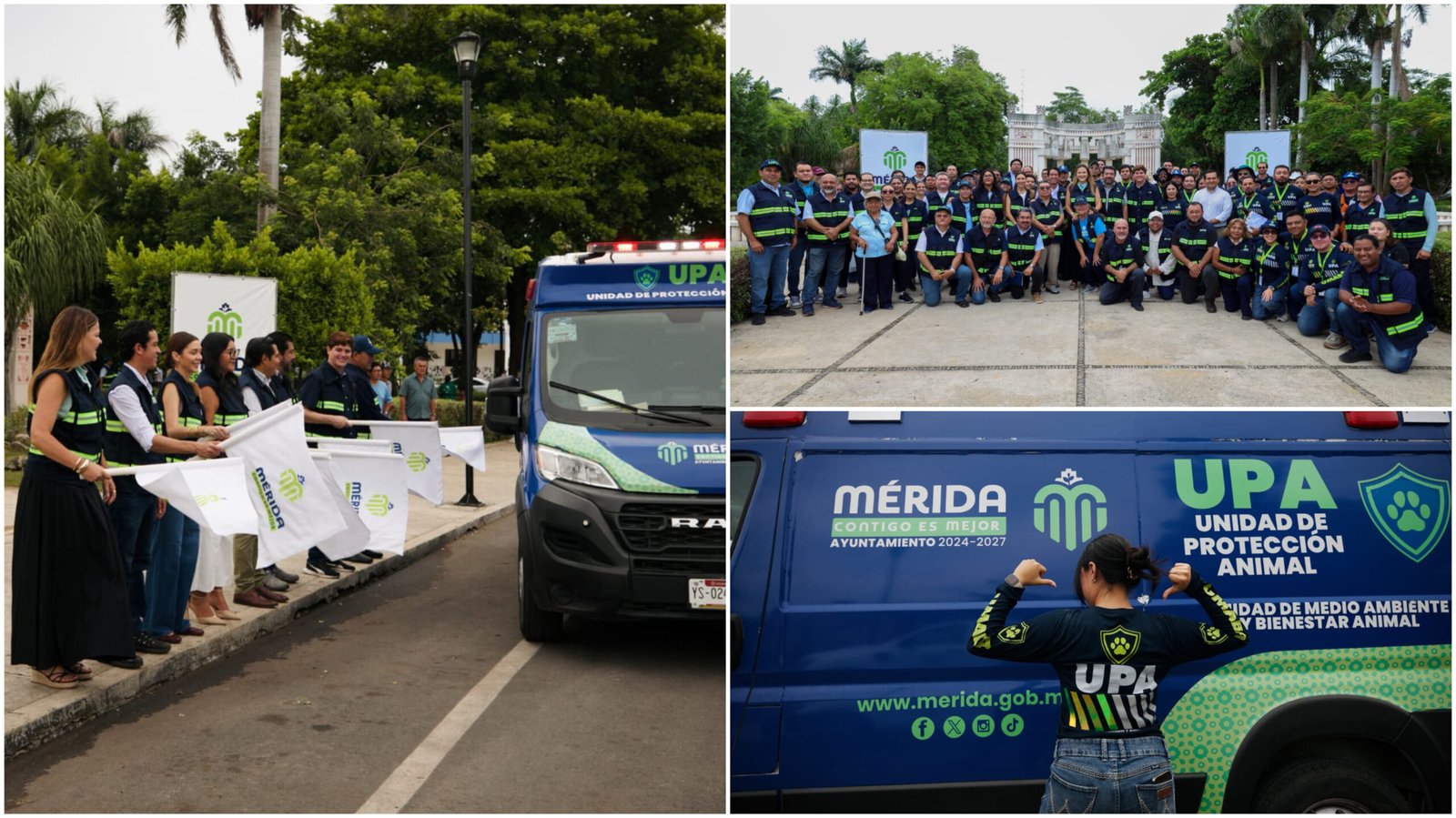 Mérida activa veinte brigadas para atender más de cien reportes de maltrato animal