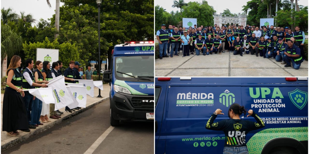 Mérida activa veinte brigadas para atender más de cien reportes de maltrato animal