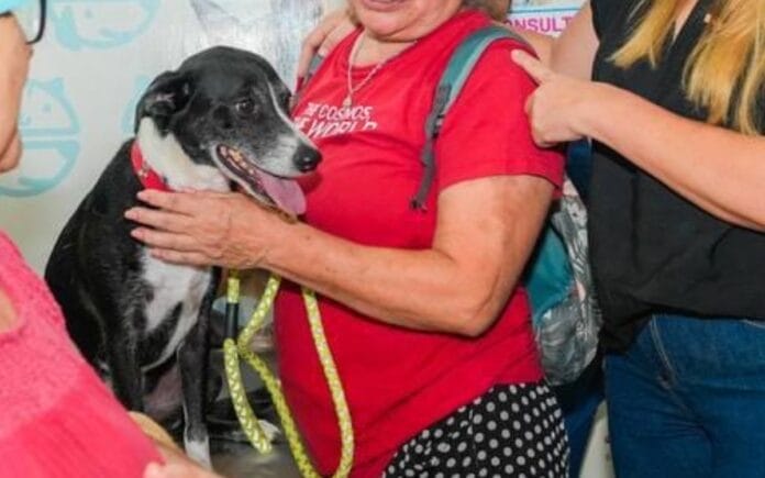 Mérida rebasa las cuatro mil esterilizaciones de mascotas en colonias y comisarías