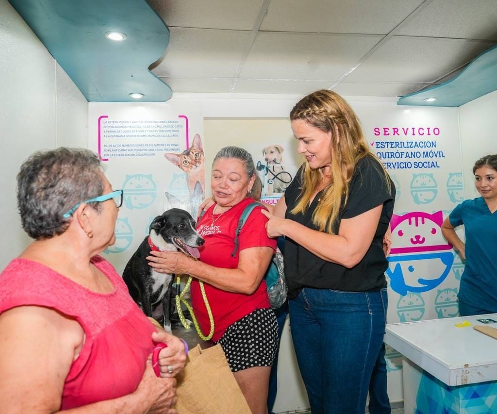 Mérida rebasa las cuatro mil esterilizaciones de mascotas en colonias y comisarías