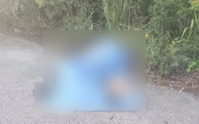 Mujer muere atropellada al cruzar en Temozón Norte