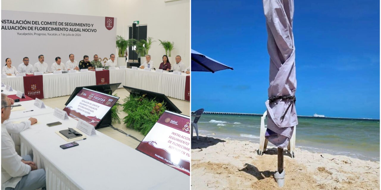 Refuerzan vigilancia costera en Yucatán ante Marea Roja en temporada vacacional