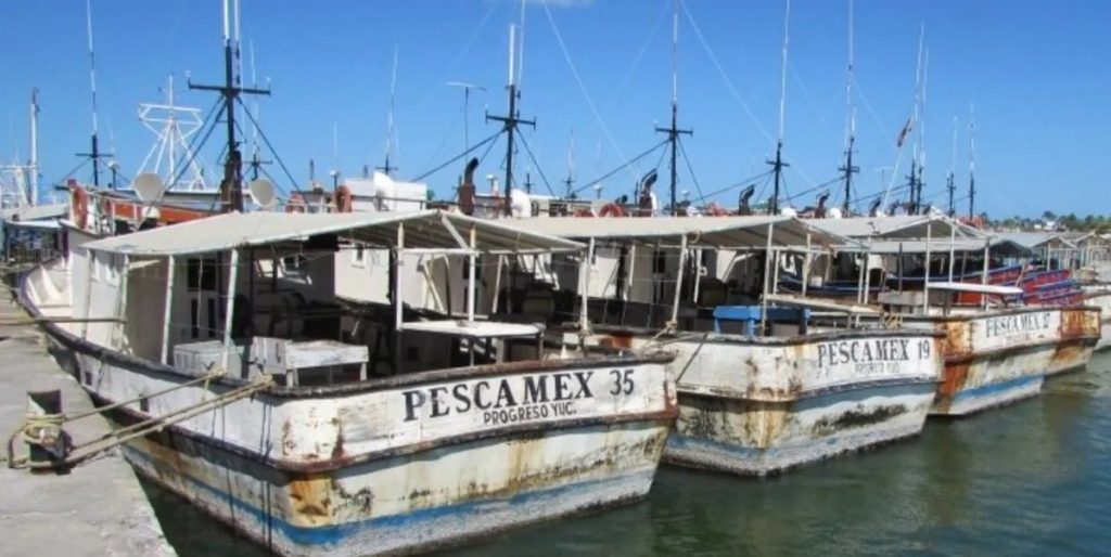 Yucalpetén se hunde en el abandono a días de la temporada del pulpo